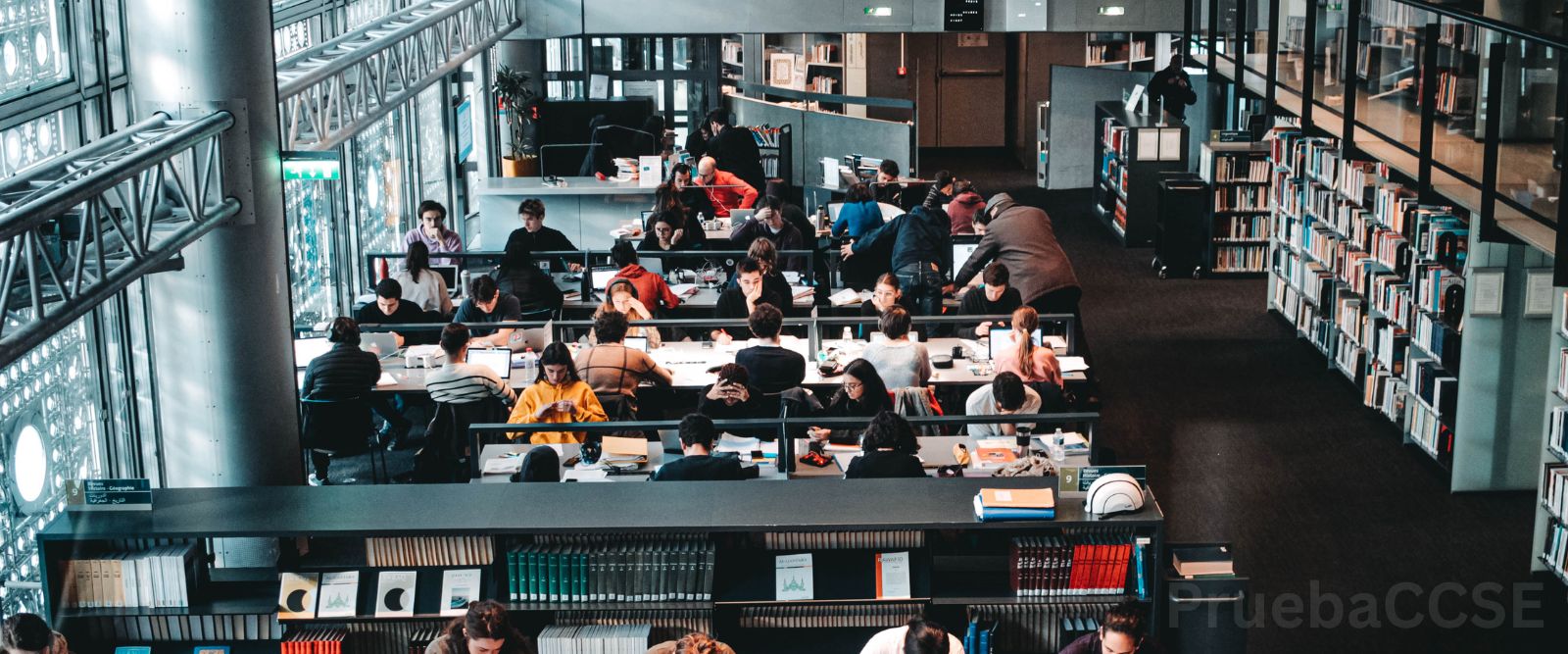 Estudiante preparado para el día del examen CCSE 2026
